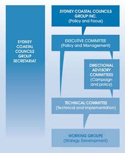 SCCG Organisational structure
