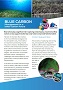 Blue Carbon fact sheet
