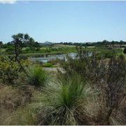 Botany Bay Wetlands