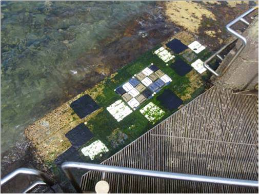 Antifouling test site