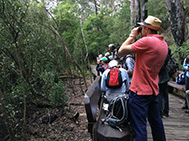 Bird Survey, Willoughby