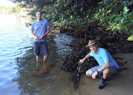 Oceanwatch's Simon Rowe & Andy Myers trialing a coir bag.